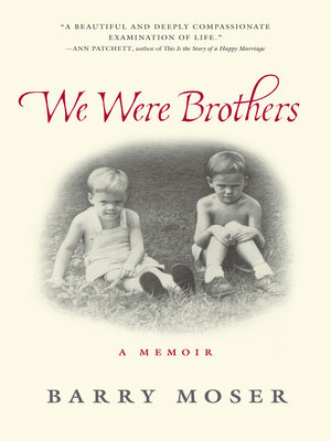 cover image of We Were Brothers